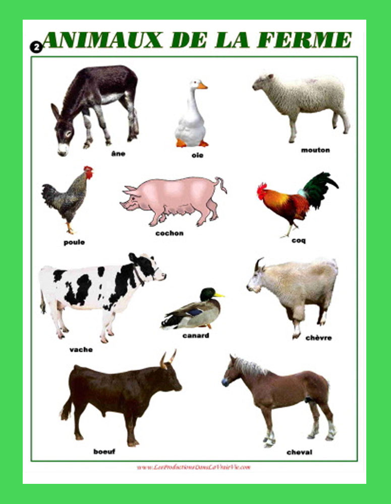 Les Formules Magiques Des Animaux De La Ferme Images Picstank Les Formules Magiques Des Animaux De La Ferme Images Picstank